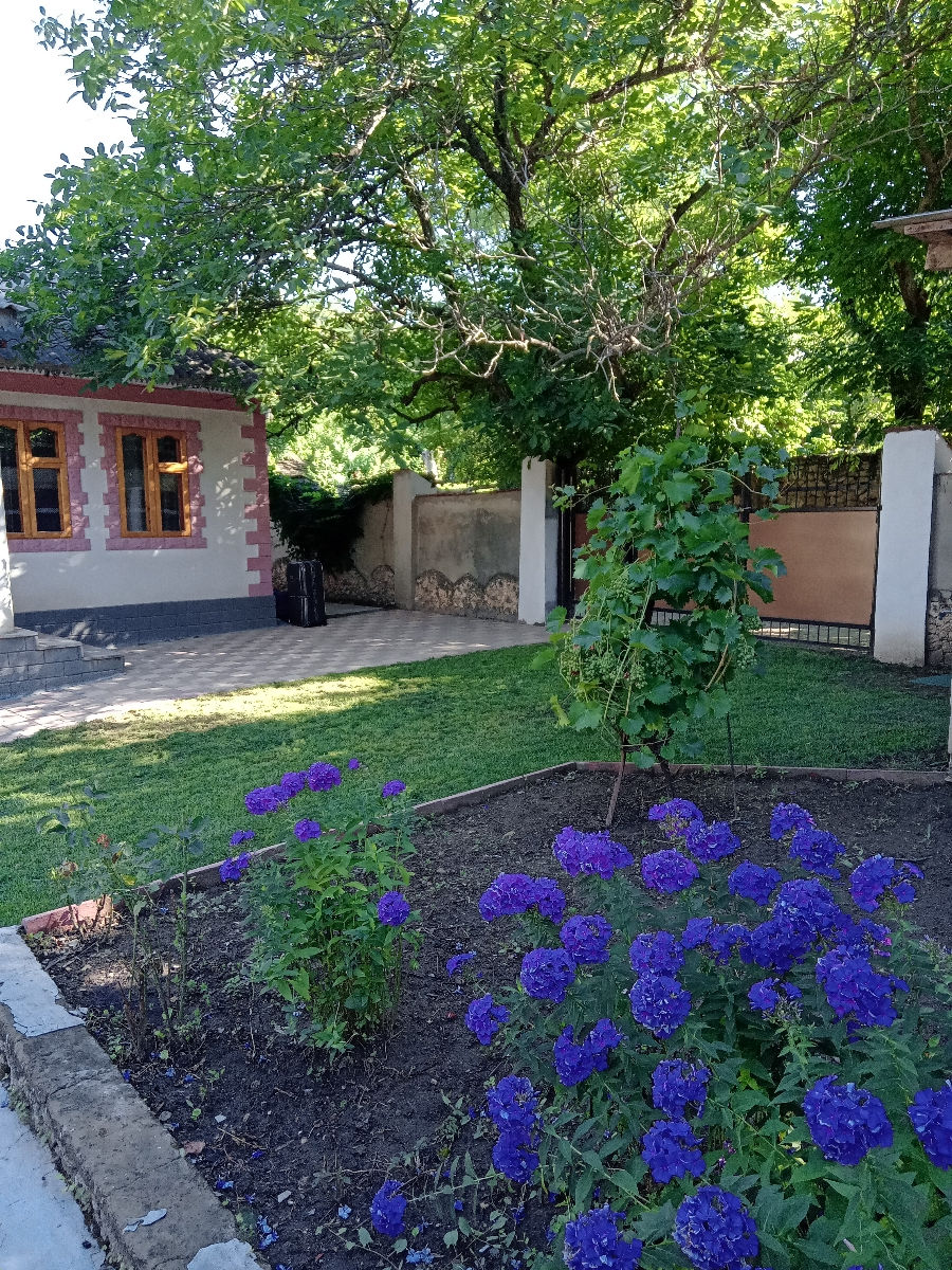 Casă de vânzare în Butuceni – Orheiul Vechi | Zonă turistică unică foto 1