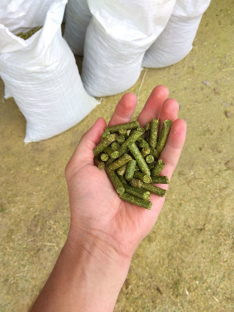 Люцерна Гранулированная / Lucerna granulata de la producator 15-16% de ...