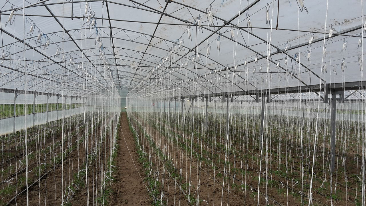 Sere pentru gradina Теплицы Constructie metal zincat Sera bloc angar depozit agricol foto 0