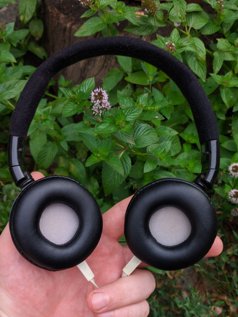 Sony MDR-ZX600 / ZX 600 фото 1