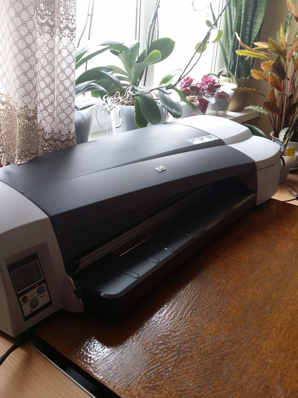 Plotter HP Designjet 111 Roll