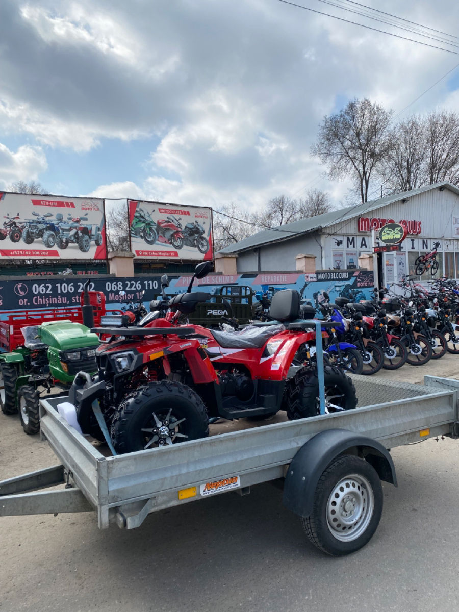 Viper 250 foto 1