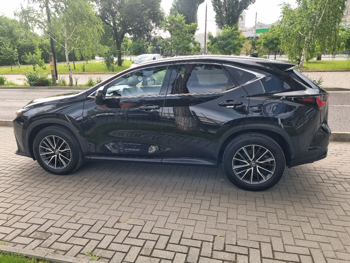 Lexus NX Series 2022 photo 8
