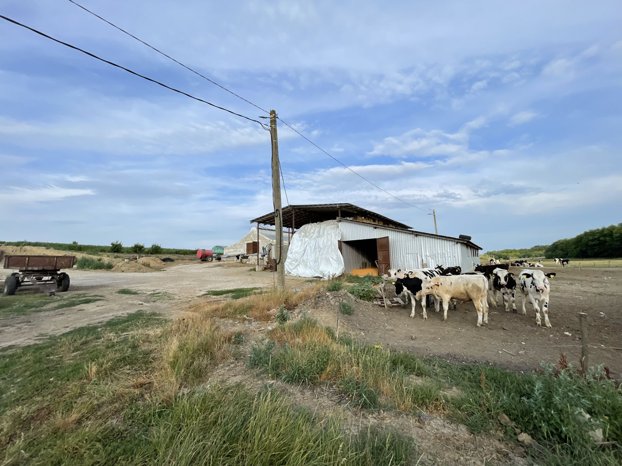 Afacere activa la 40 km de chișinău foto 6