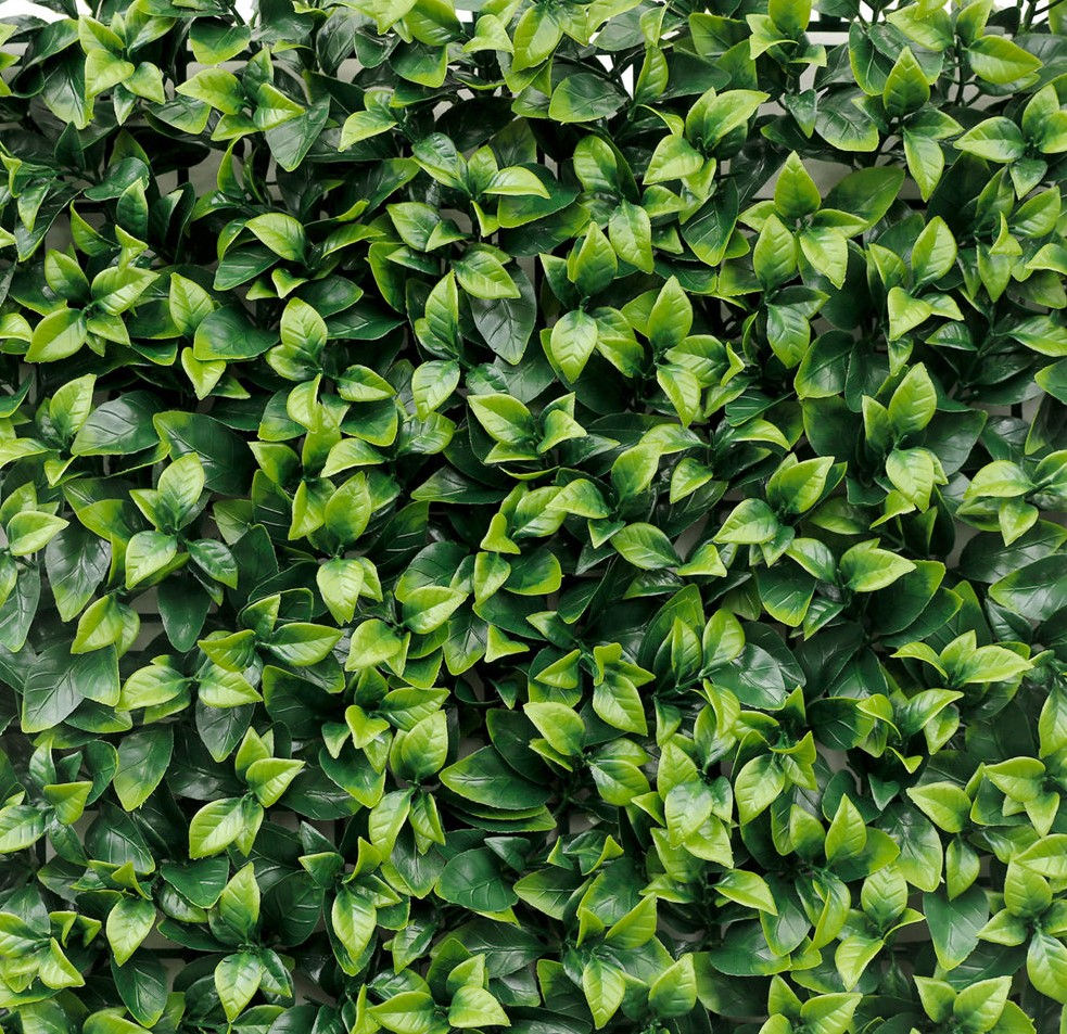 Perete decorativ 17700 Gardenia 50cm x 50 cm foto 0