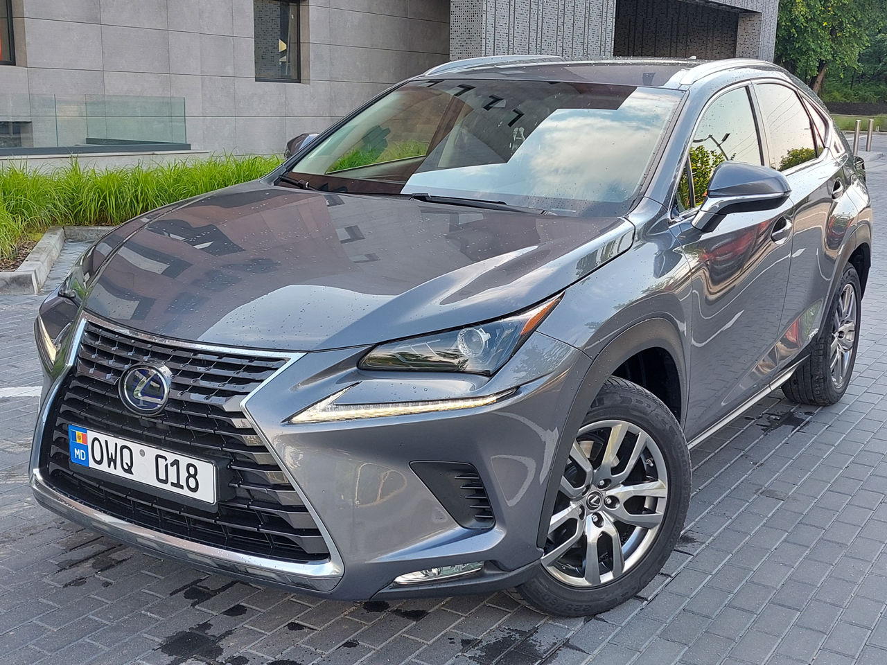 Lexus NX Series foto 1