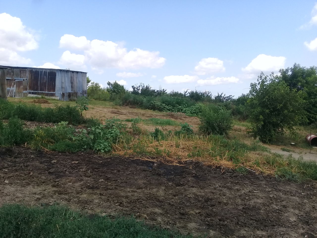 Vindem  ferma de vaci, la dorinta poate fi si stina de oi sau capre foto 5