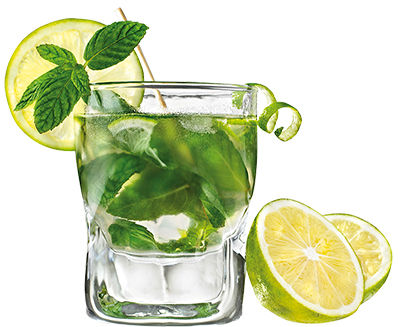 Sirop Mojito Monin din Mentă 1000 ml Livrare Moldova foto 4