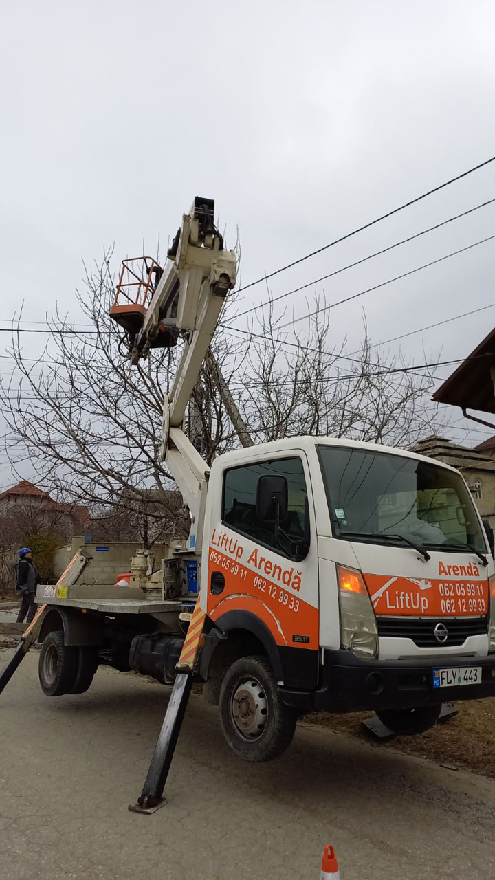 Servicii de tăiere copaci!!! Echipament modern, rapid si calitativ! foto 7