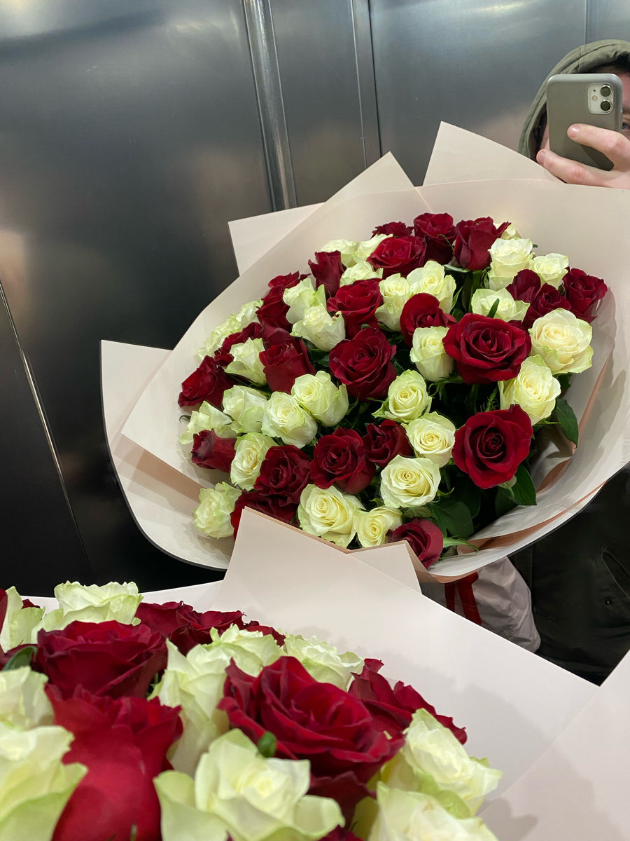 51 Trandafiri Olandezi De 80 Cm La Doar 1400 Lei 51-trandafiri-olandezi-de-80-cm-la-doar-1400-lei