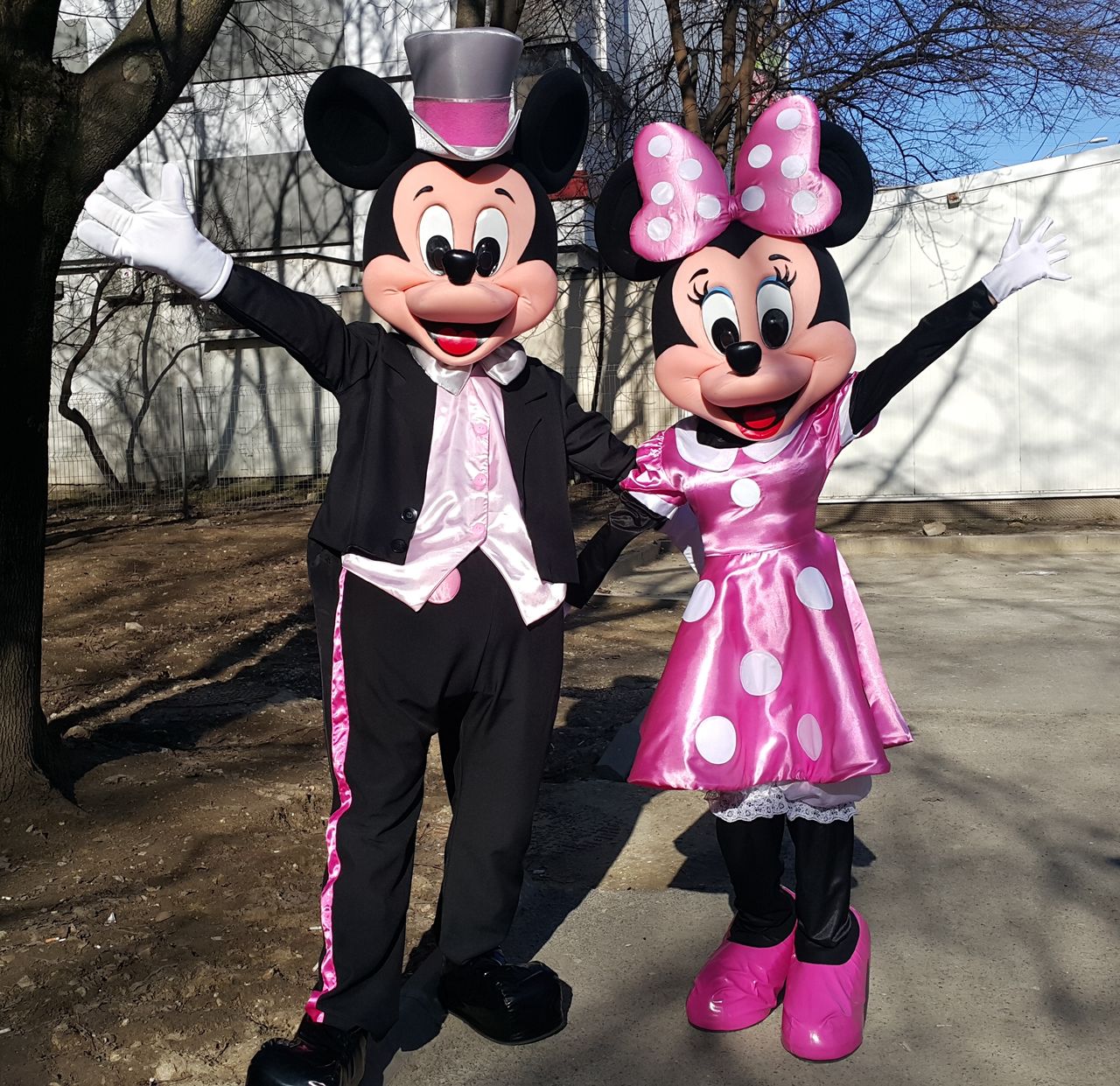 Mickey si minnie mouse in Moldova / costumatie roz / микки и минни маус foto 6