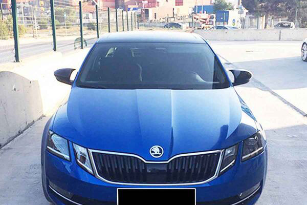 Capace oglinzi "Batman-Stile" la diverse modele фото 7