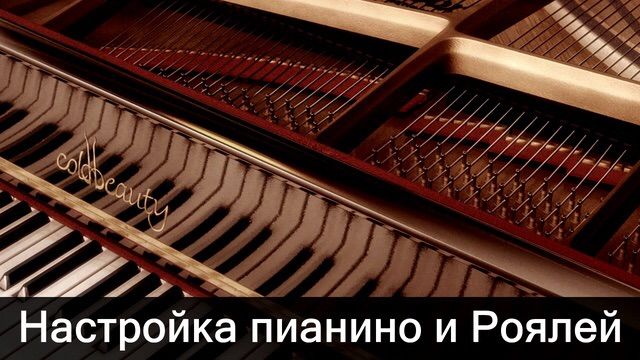 Acordarea pianelor! Настройка пианино! foto 7