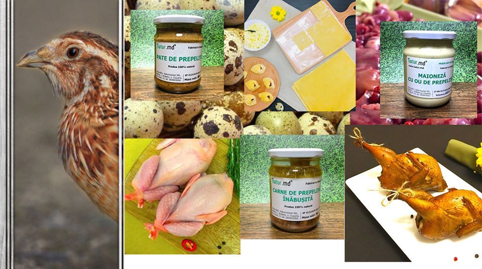 Prepelite: carne, oua, taietei, afumate, marinate, congelate, maioneza, pate, carne inabusita etc.. foto 8