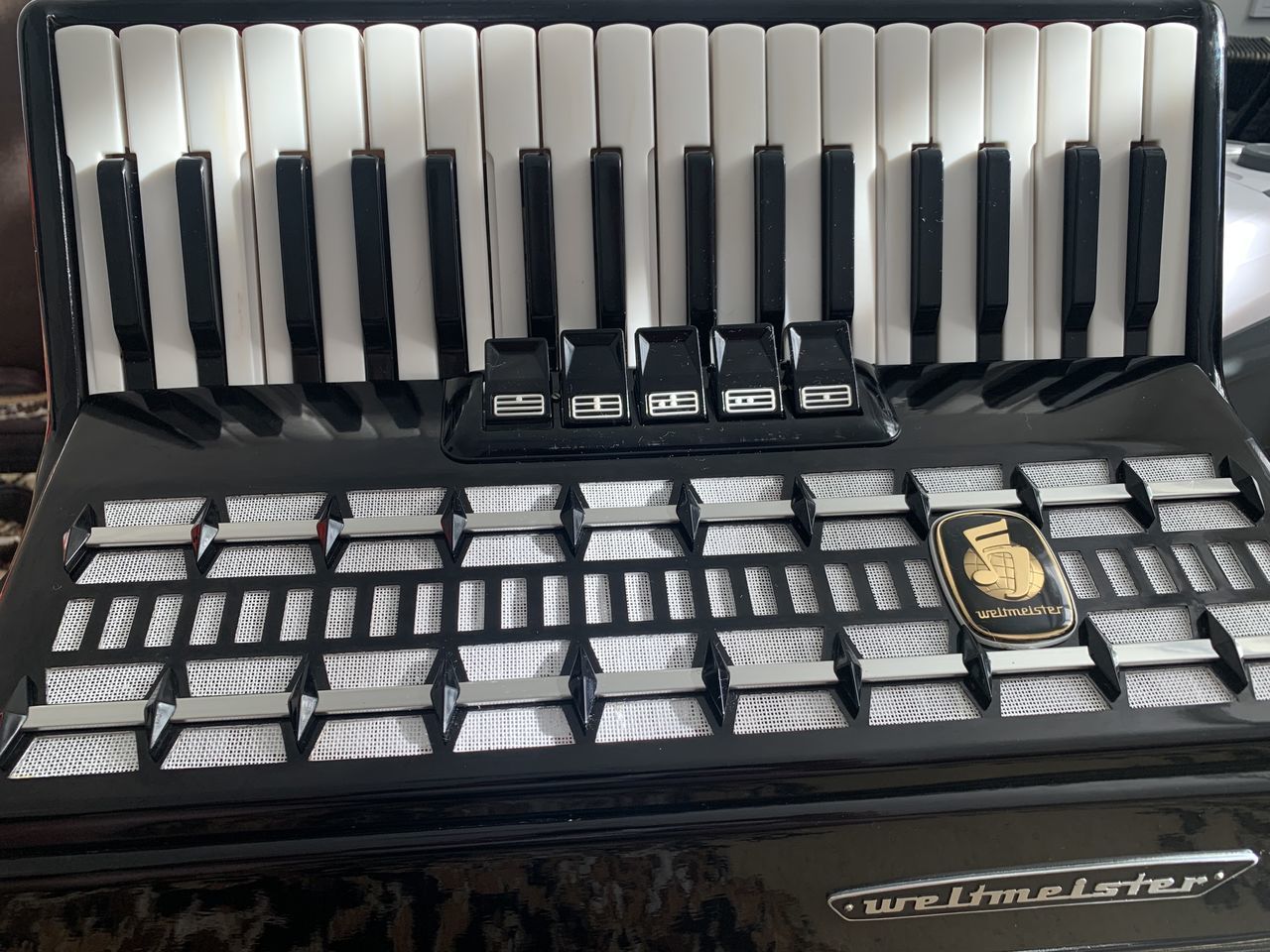 Weltmeister Serino 80 bași adus din UE Instrument de nota 10