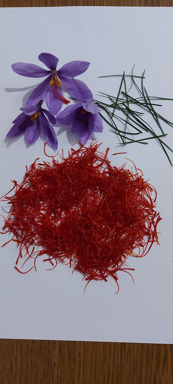 Afacere activă- Cultivarea celui mai scump Condiment- Şofran foto 2