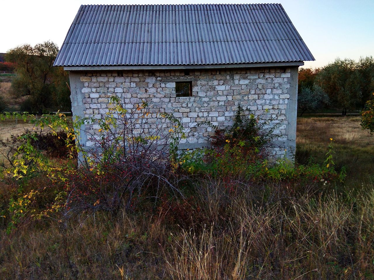 Costesti Ialoveni foto 3
