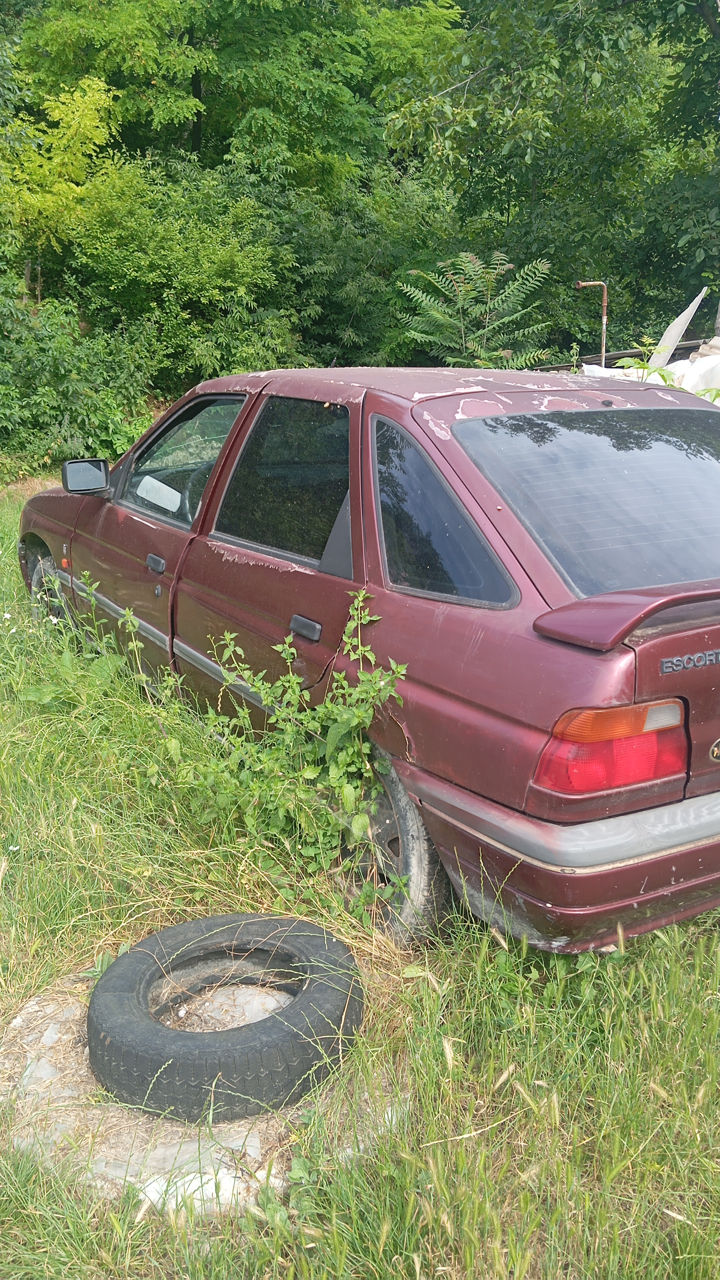 Ford Escort фото 2