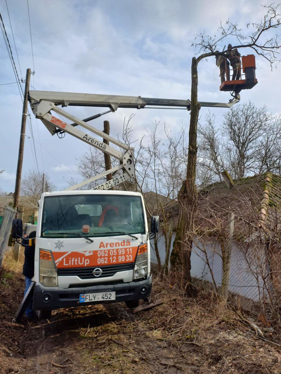 Servicii de tăiere copaci!!! Echipament modern, rapid si calitativ! foto 4