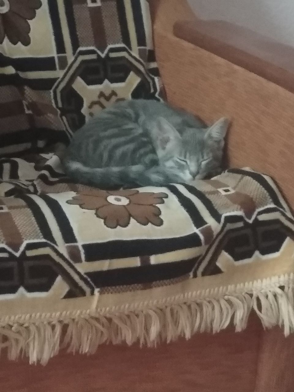 Отдам в хорошие руки