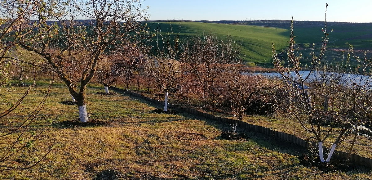 Teren extravilan 6 ari linga lac foto 0