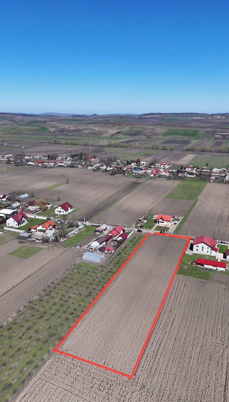 Teren de Vânzare – Vadu Moldovei, jud. Suceava foto 1