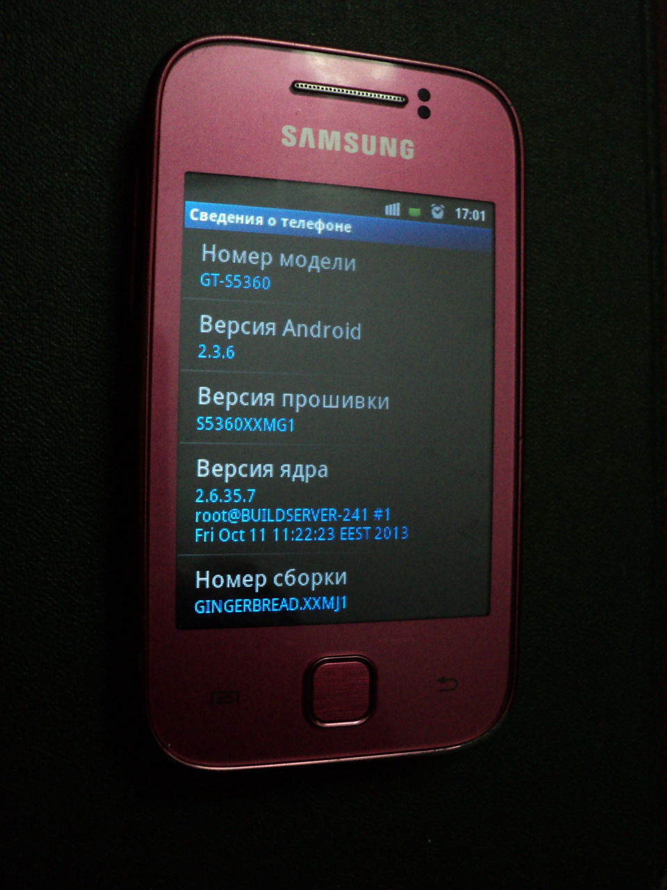 Samsung Galaxy S5360 250lei