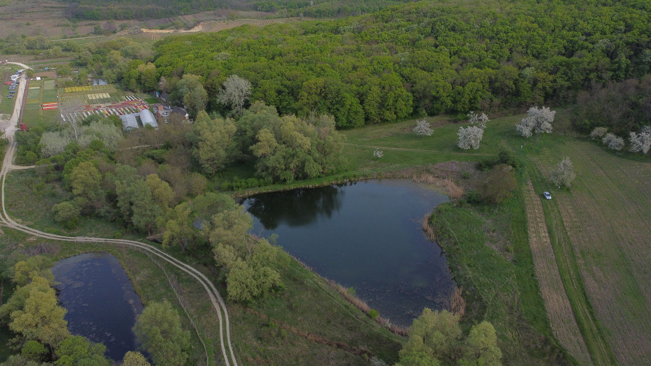 Видеосъемка 4К аренда квадрокоптера дрона Filmare video inchiriere quadrocopter trântor DJI Mini 2 foto 0