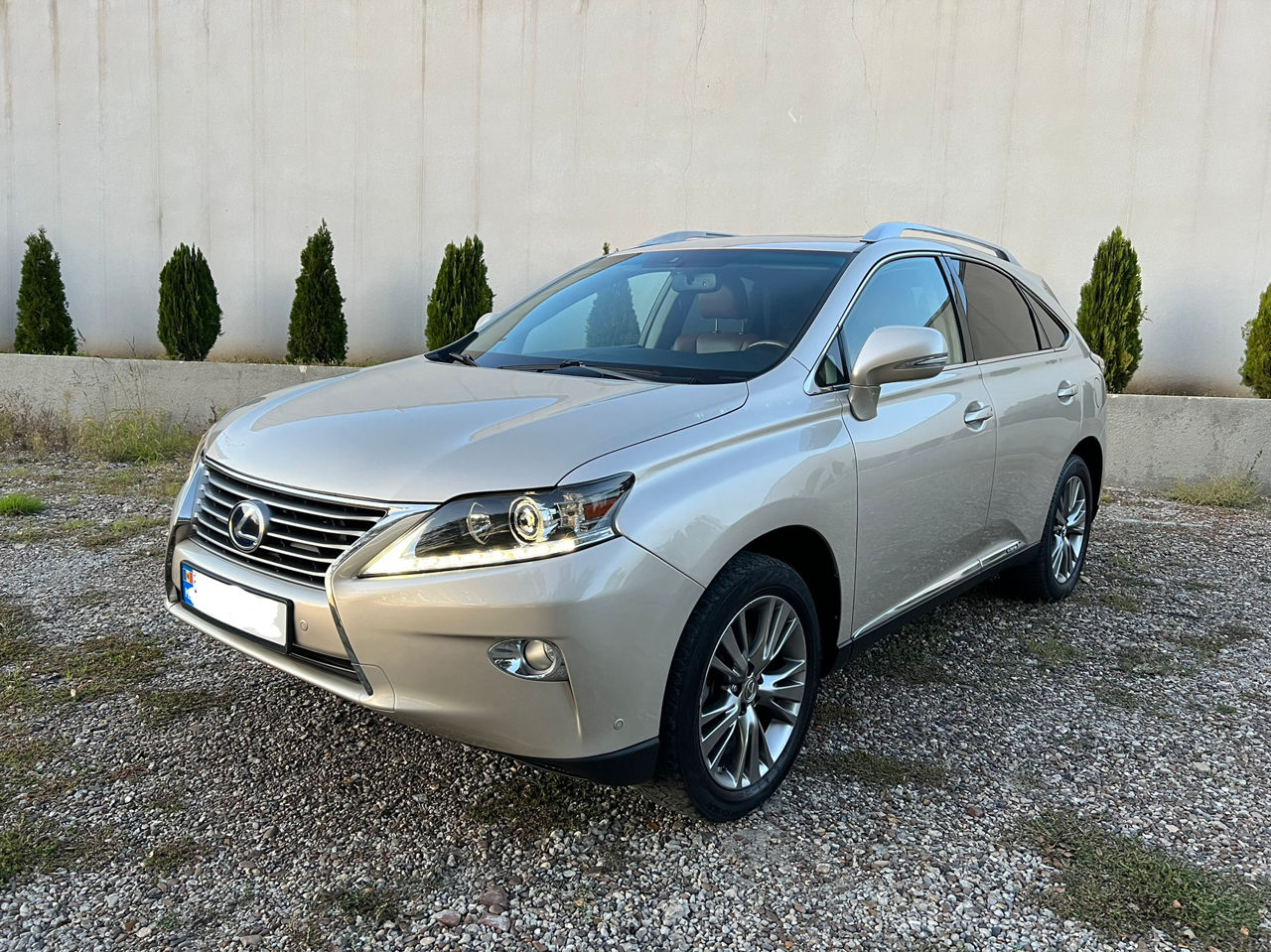 Lexus RX Series фото 3