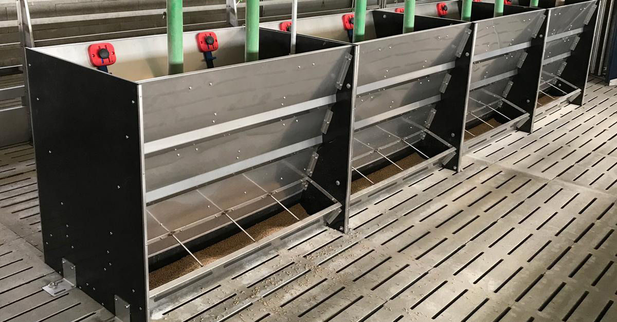 Hrănitoare automată MF pentru purcei și porci la îngrășare foto 5