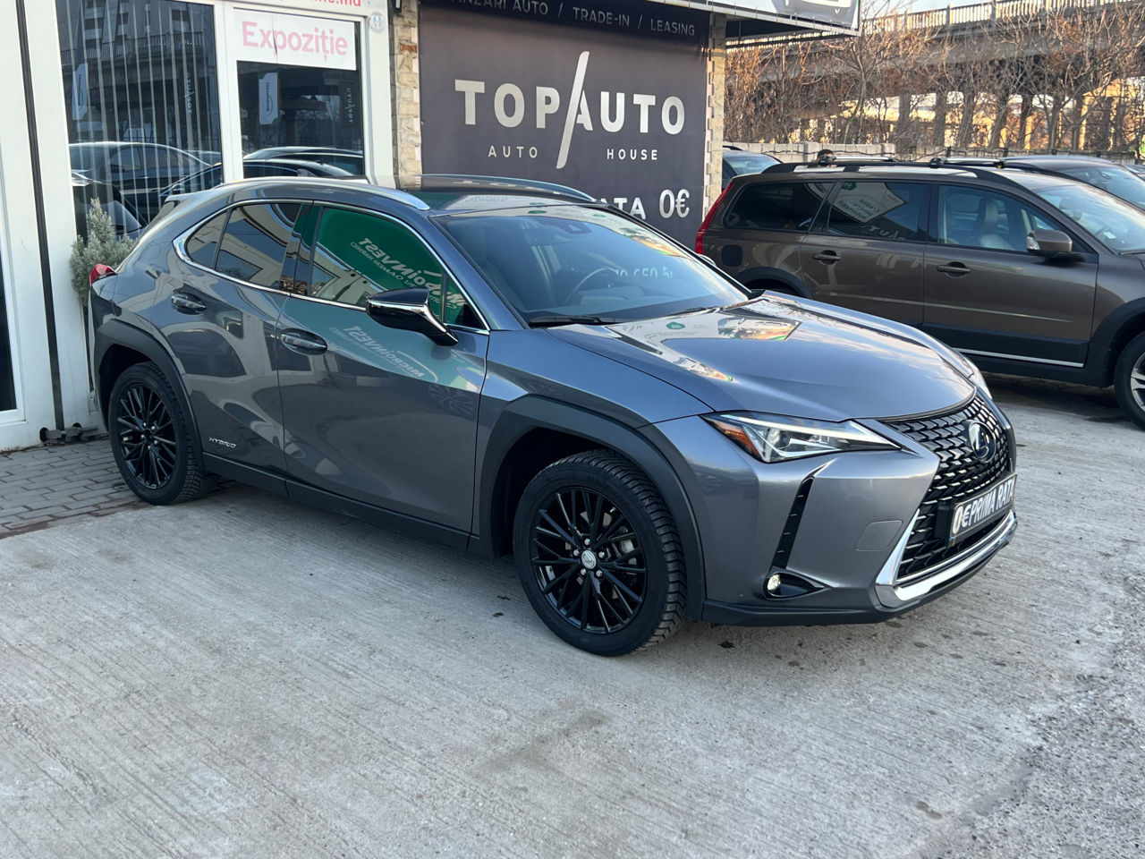 Lexus UX фото 1