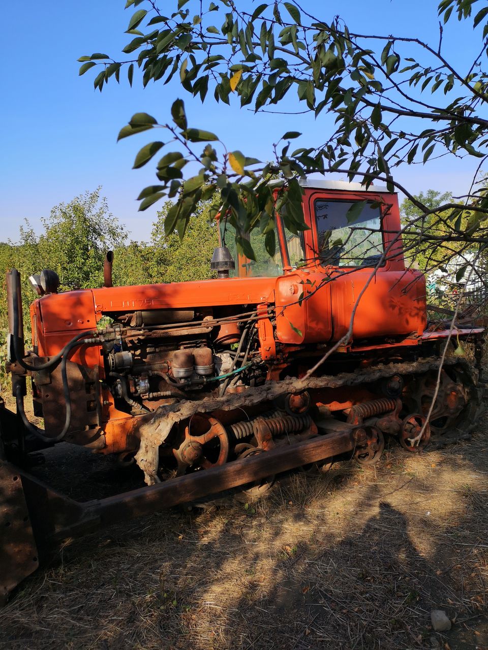 Dt75