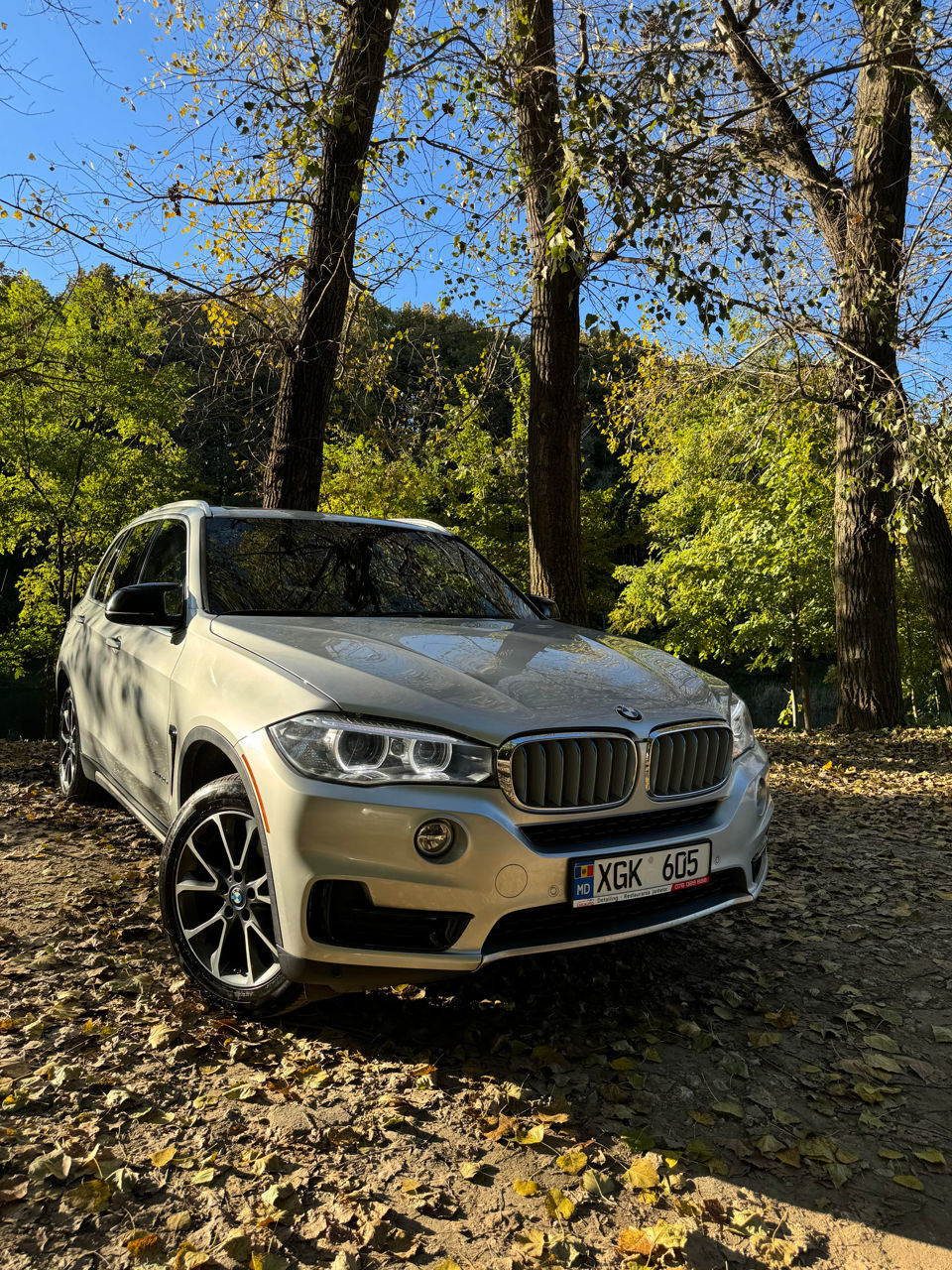 BMW X5 foto 7