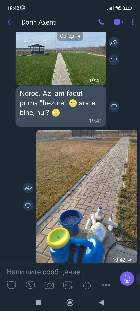 Îngrășăminte pentru iarbă de gazon, reînvie firele galbene ,pete uscate,zone moarte 120 lei kg фото 2