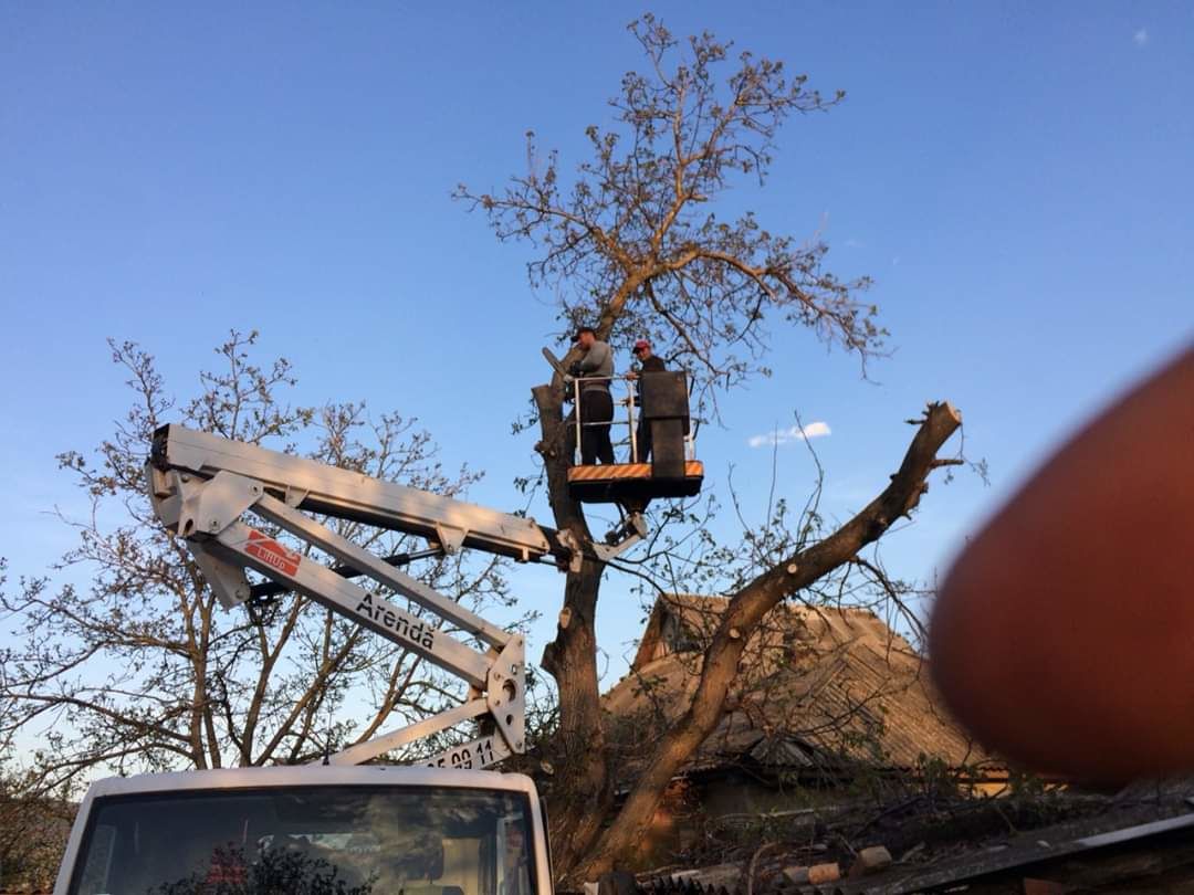 Curățim copaci  de înălțime mare cu mașini Autoturn și toate echipamentele necesare! foto 2