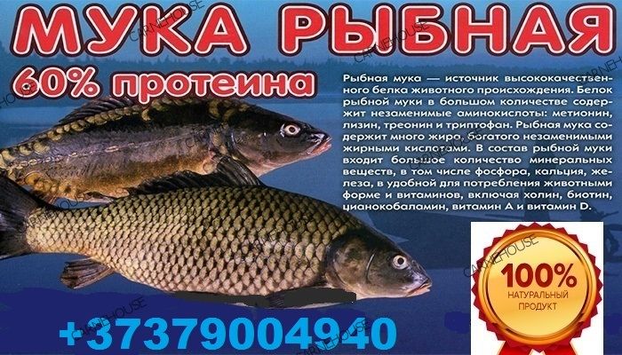 Мясокостная мука. Рыбная мука.  Viber WhatsApp Telegram. foto 4