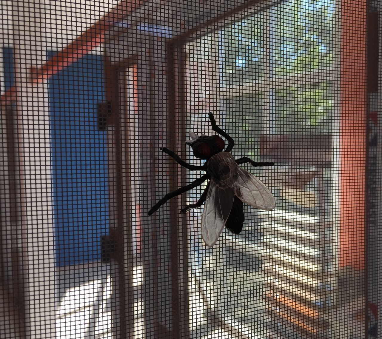 Plase insecte. Москитные сетки. Pret 380 lei. mun. Chisinau foto 0