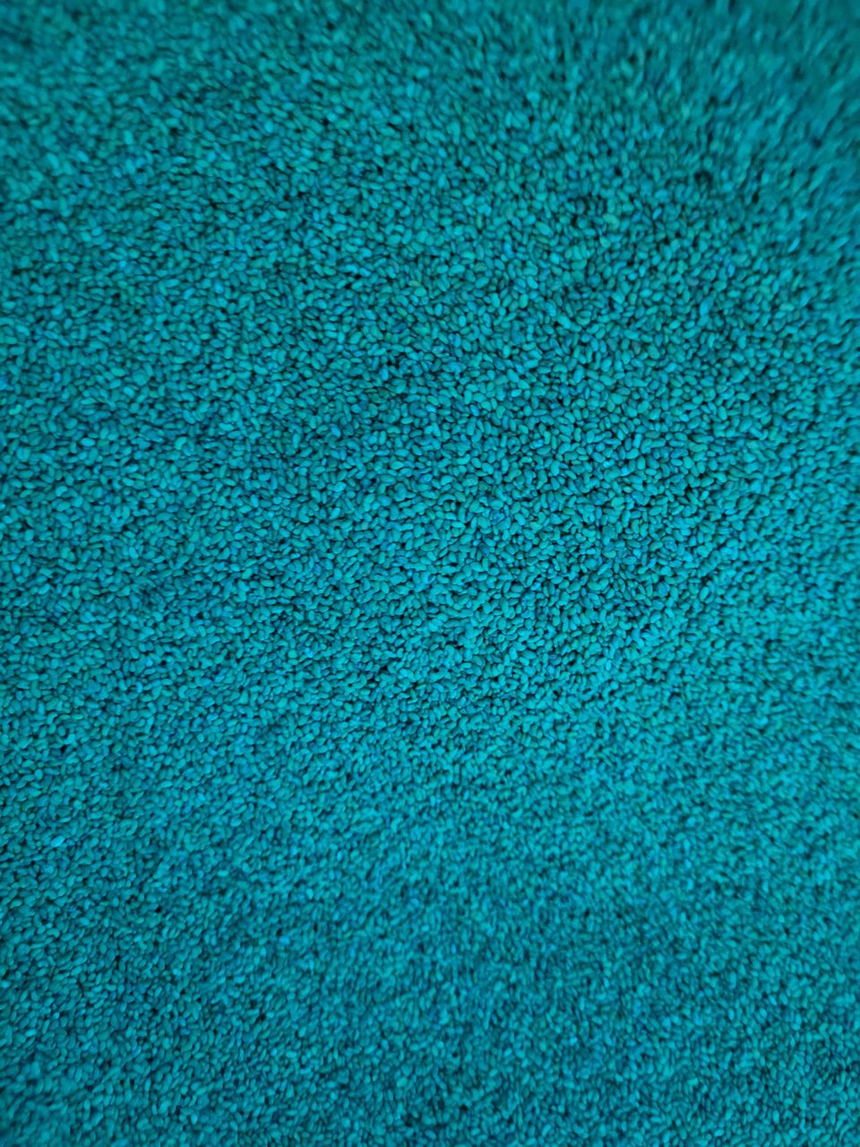 Vindem seminte de lucerna din Moldova, Italia, Olanda, pentru cei care le pasa de munca  lor! foto 6