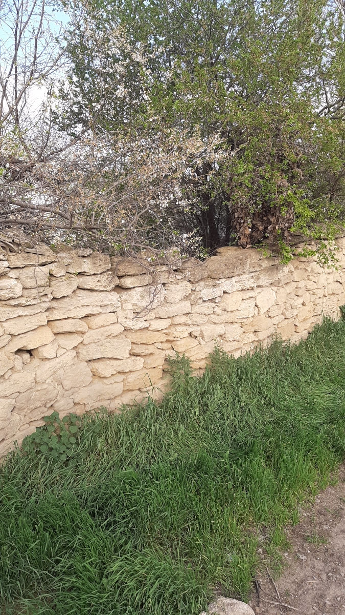 Lot pentru construcții 25 ari cu casa și beci în Berezlogi, Orhei фото 3