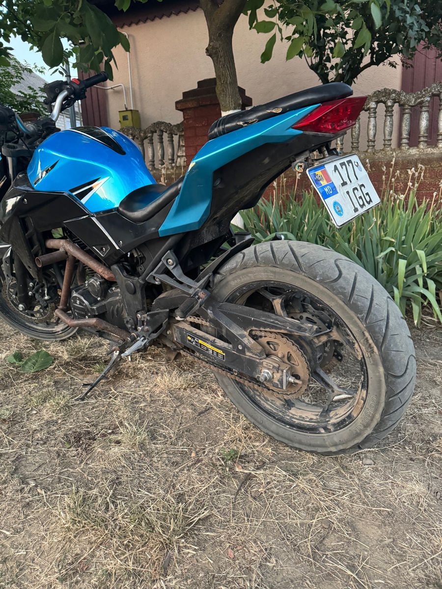Motomax Zx 250 foto 4