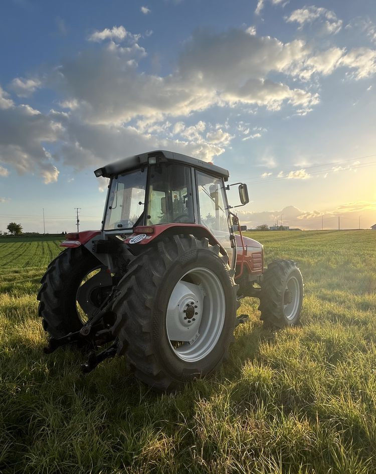 Massey Ferguson 4260 foto 4