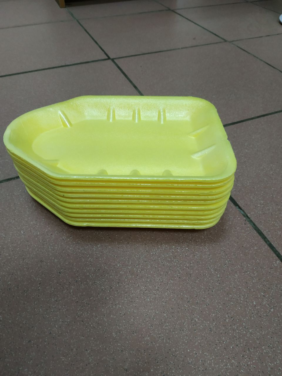 caserole polistiren foto 2