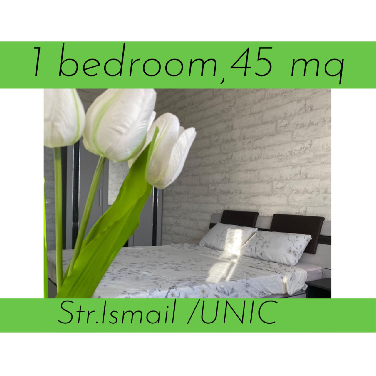 Apartament cu 1 cameră, 45 m², Centru, Chișinău foto 1