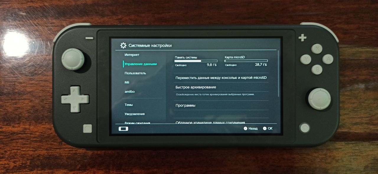 Nintendo Switch Lite Серый + 32 ГБ карта памяти