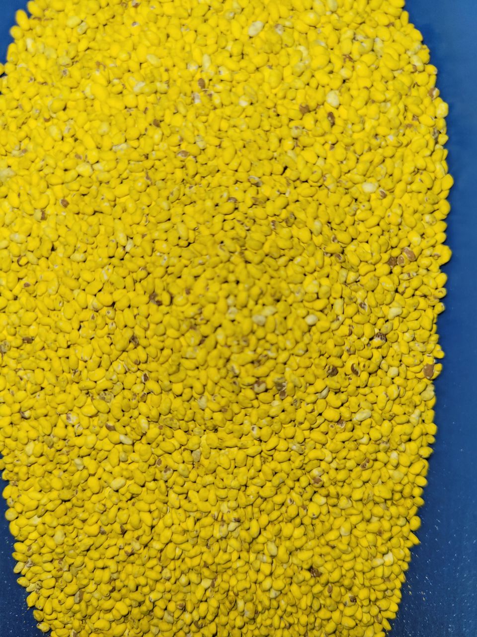 Vindem seminte de lucerna din Moldova, Italia, Olanda, pentru cei care le pasa de munca  lor! foto 3