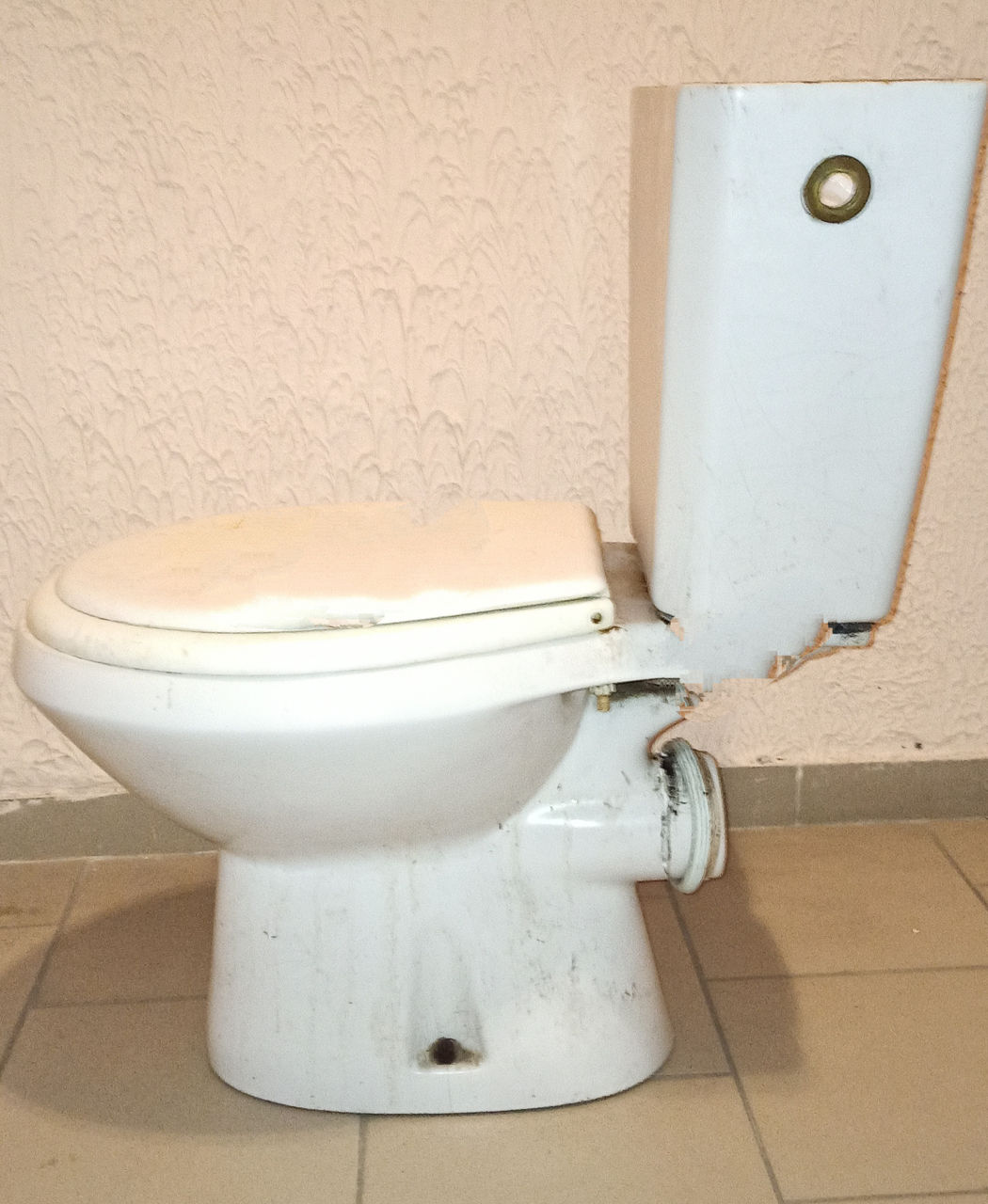 Унитаз, сиденье, бачок 500 лей для стройки или дачи