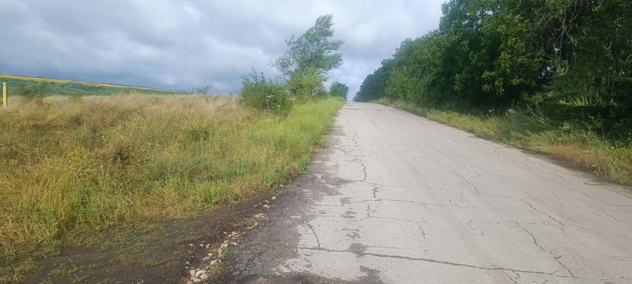 Vind teren in com. Tohatin sat. Bunet - 86 ari in intravelanul satului