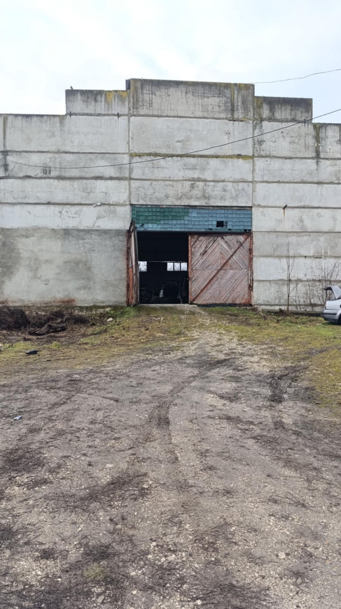 Teren pentru construcții 1,27 ha industrial, cu 2 depozite câte 500 M2 fiecare. foto 10