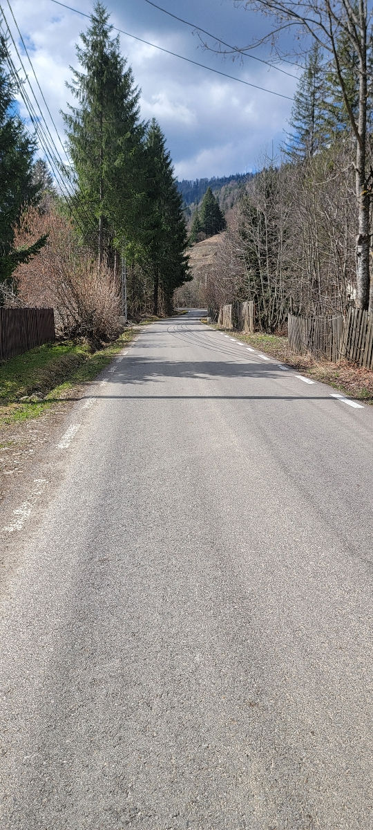 Vila La Ceahlau  Stațiunea Durau foto 1