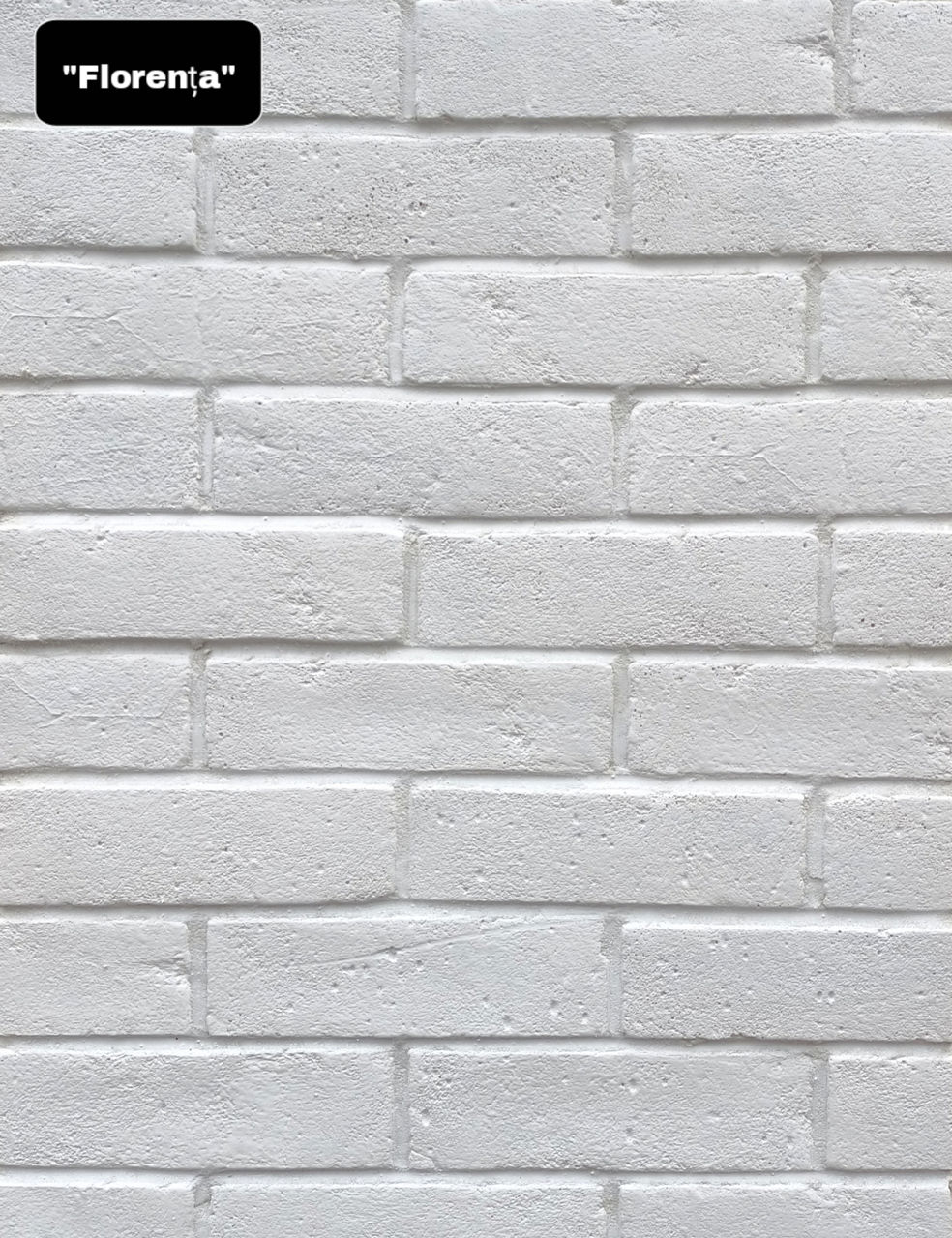 Piatra si caramida decorativa alba.Ghips.Декоративный белый кирпич.Гипс.Producator Decor Beton SRL. foto 18